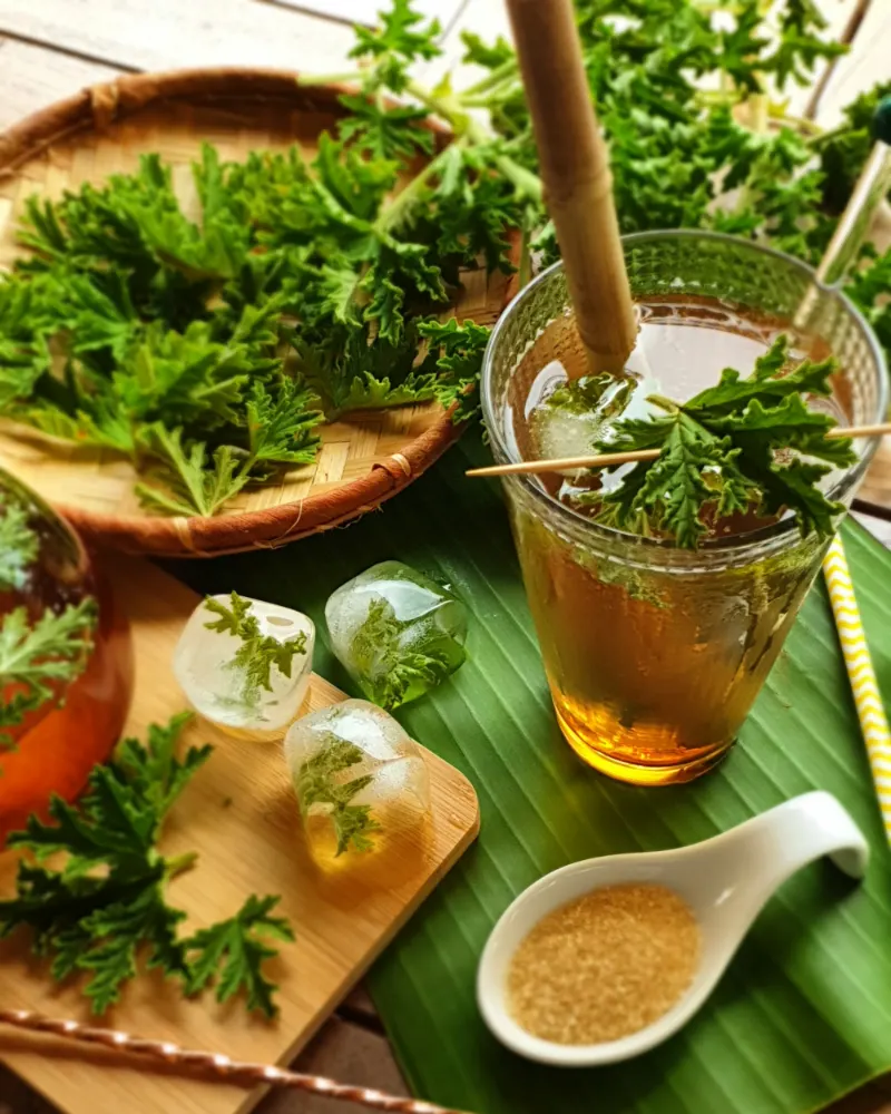 Un verre de boisson fraîche avec des feuilles vertes et des glaçons, posé sur une feuille de bananier