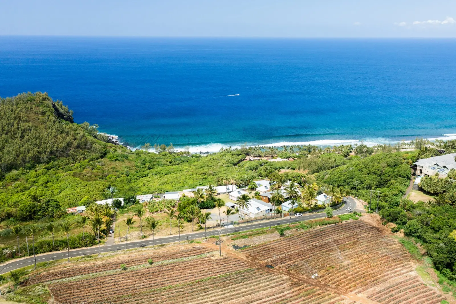 La plage de Grande Anse vue depuis les hauteurs, avec le champ d'ananas et les cases au bord de la route